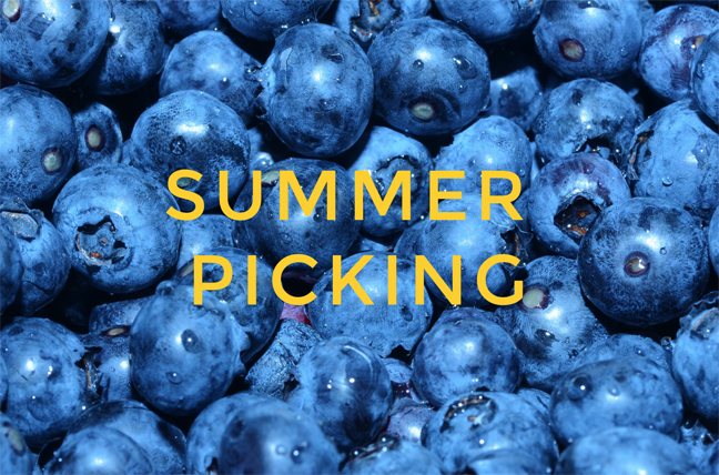 Blueberry Pickin’ Around the Corner